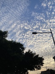 9C1D86AB-C901-4C0D-9FEB-43DDF43B756B/L0/001