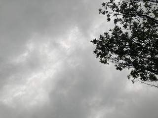 AA95D826-E014-42BC-81FD-DF8DA6039938/L0/001