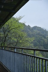 976A6F20-1081-4E0E-833C-A382768AE977/L0/001