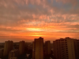 87587652-AD26-440E-AE0D-445FB18AF466/L0/001