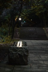8A457E26-9121-4BB1-B4FD-6E360C750D98/L0/001
