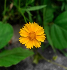 1000035540