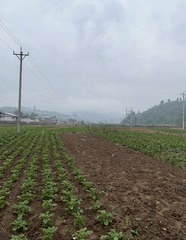 98B650C7-20DB-4C92-93D6-0D89176DA5E4/L0/001