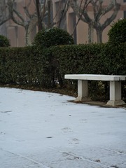 DSC_0423.JPG