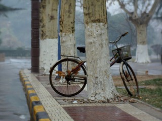 DSC_0448.JPG