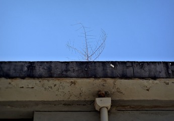 DSC_0556.JPG