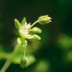91709F97-B4A4-4658-AE07-D67D73A1D89D/L0/001