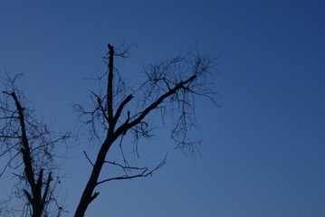 CB73D247-7005-4D1B-9C3C-1C026D337361/L0/001