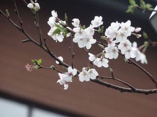 1D038FFD-47EF-47CB-B15A-0800B2E7F00D/L0/001