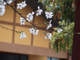 414DFC1D-C9D9-4F12-B4C9-E31097453F81/L0/001