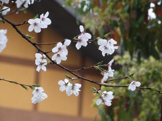 5CF32E10-1F46-4F44-A12D-9AC25FE8294A/L0/001