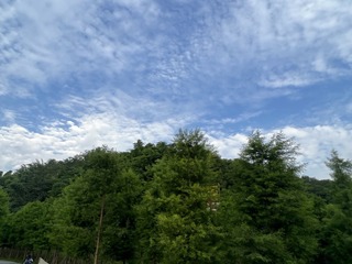 87E61438-6793-4C91-B6CC-1DBD21F0128D/L0/001