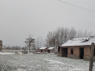 456334