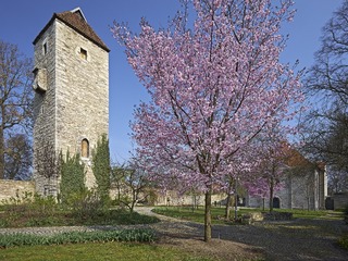 IMG_9620.jpg