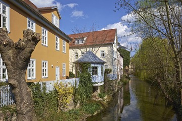 IMG_9674.jpg
