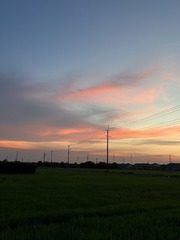 04699BCF-0EDA-430E-9252-BAFC23381520/L0/001