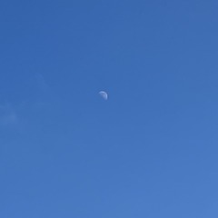 F5CC146E-17B8-4AE5-A5B2-9FB31324F4C5/L0/001