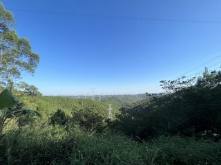 EAE16FF8-7F79-440D-B7C1-76C819BEB539/L0/001
