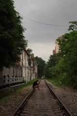 353822