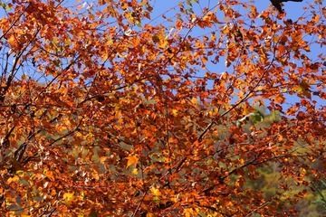 DSC01062.JPG