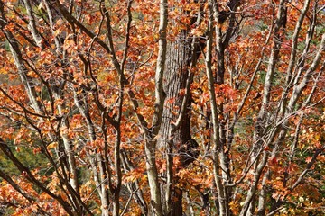 DSC01061.JPG