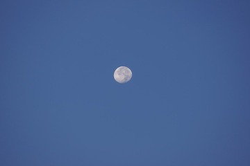 DSC01130.JPG
