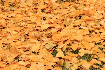 6N6I6847.JPG