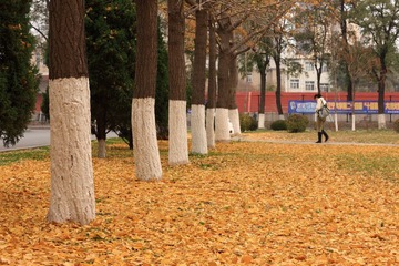 6N6I6850-1.JPG