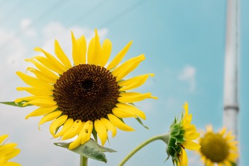 001