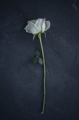 HNN003094