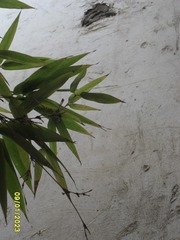 5E8F40ED-6AEB-4CF7-9577-64EFC7827125/L0/001