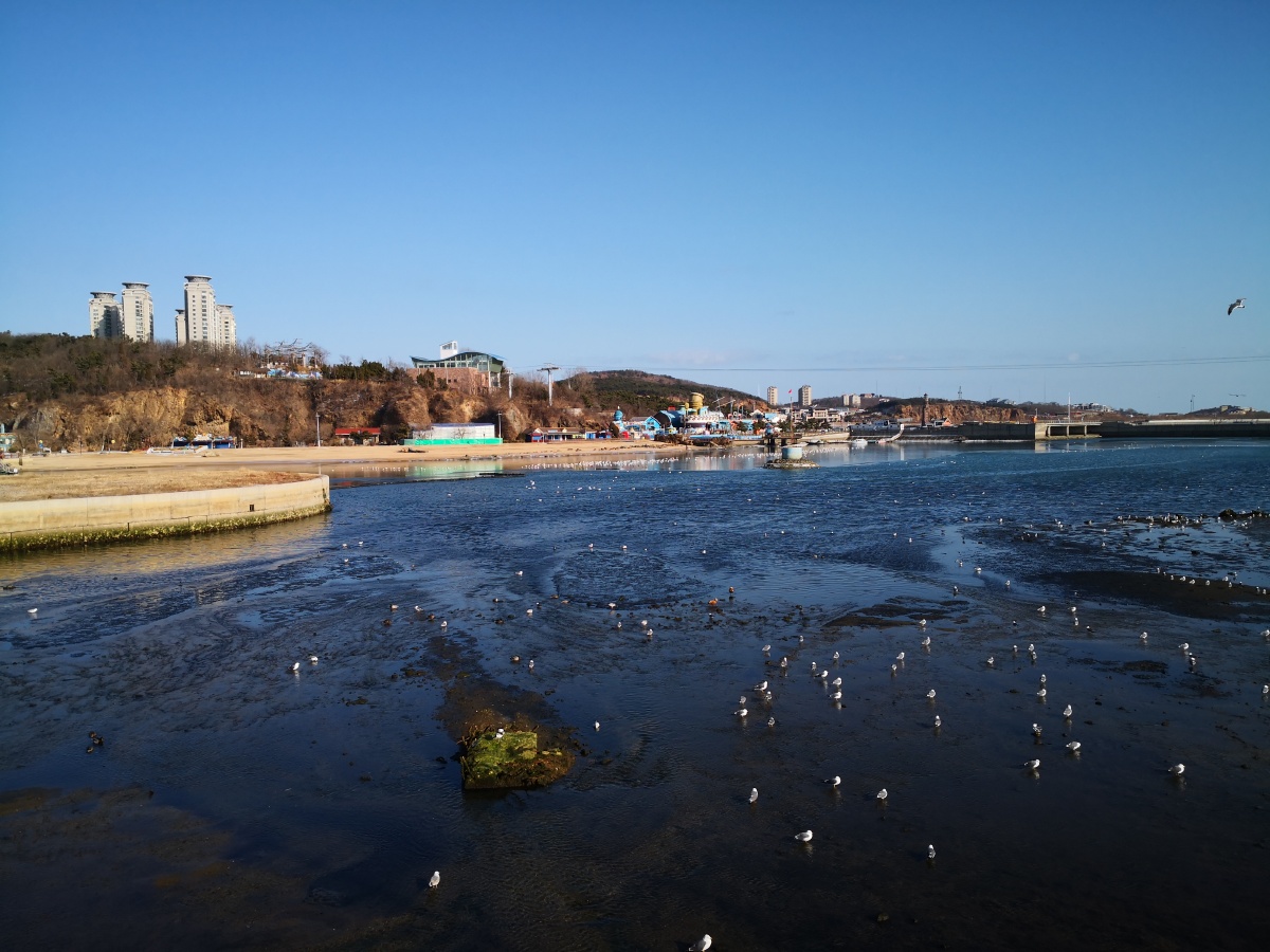 大连老虎滩菱角湾