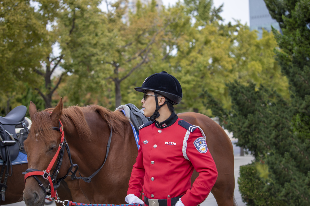 国庆节期间大连骑警巡演