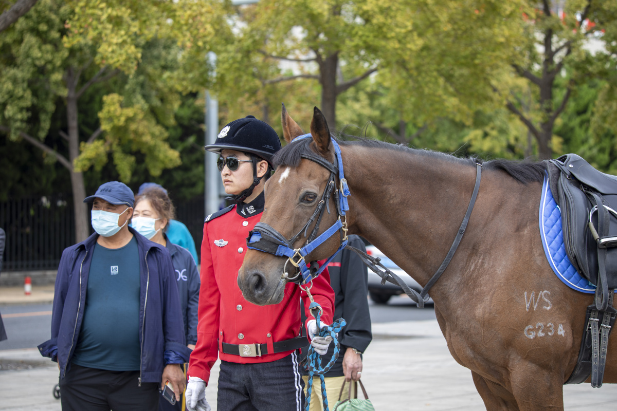 国庆节期间大连骑警巡演