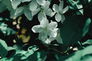F33ABCDB-F72E-48DA-956F-F6C6480F3D86/L0/001