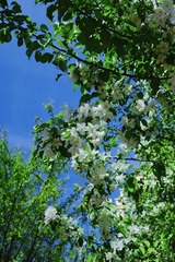 FFEF3200-2DCD-4D4E-9B33-BEDB3DD94837/L0/001