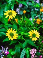 0B615261-74E9-4AA9-89D3-E919794FCB4D/L0/001