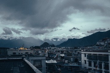 1000041478