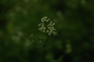 62108
