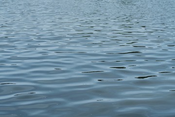 03AF37C2-C8D7-4719-B728-12F0ED7FA484/L0/001