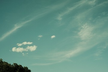 14D03280-EBBD-4D05-951D-5183E7EF255C/L0/001
