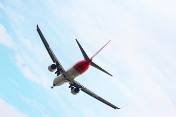 IMG_6004_副本.jpg