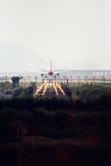 IMG_6008_副本.jpg
