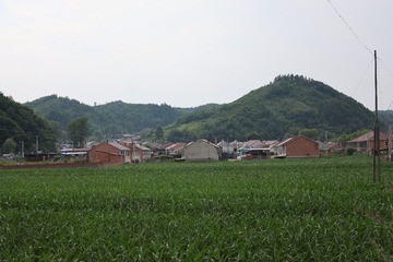 443712