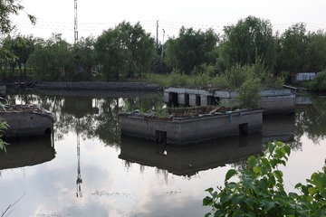 445094