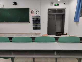 1000008081