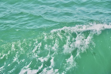 47193219-4FD8-4F96-A435-0B272A590395/L0/001