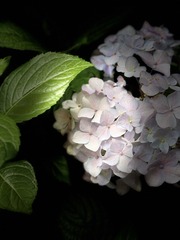 811CE467-3C32-41B1-B57F-37A7D95CB1BC/L0/001
