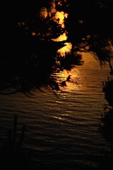 F0EF6F54-4CE4-4C06-870D-954E9DB740D9/L0/001