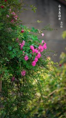 1C02F470-24F5-4C83-9FBC-86E9FAA676C3/L0/001